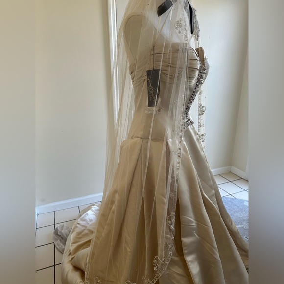 Stephen Yearick Strapless Wedding Gown and Veil - NWT- Champagne Color - Picture 12 of 16